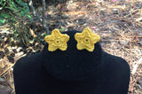 Star earrings