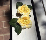 Matching pair of yellow Hair flowers on combs